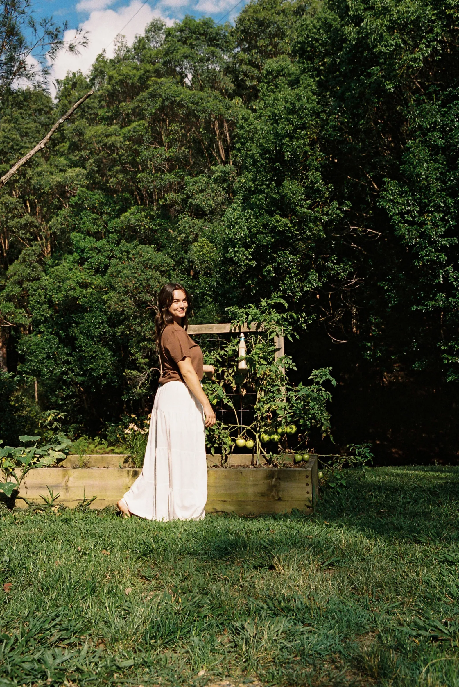 Classic Band Tee Chocolate